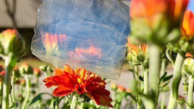 Monolito de aerogel colocado encima de una flor de naranja para mostrar sus propiedades livianas.